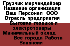 Грузчик-мерчендайзер › Название организации ­ Ваш Персонал, ООО › Отрасль предприятия ­ Бытовая техника и электротовары › Минимальный оклад ­ 18 000 - Все города Работа » Вакансии   . Ростовская обл.,Донецк г.